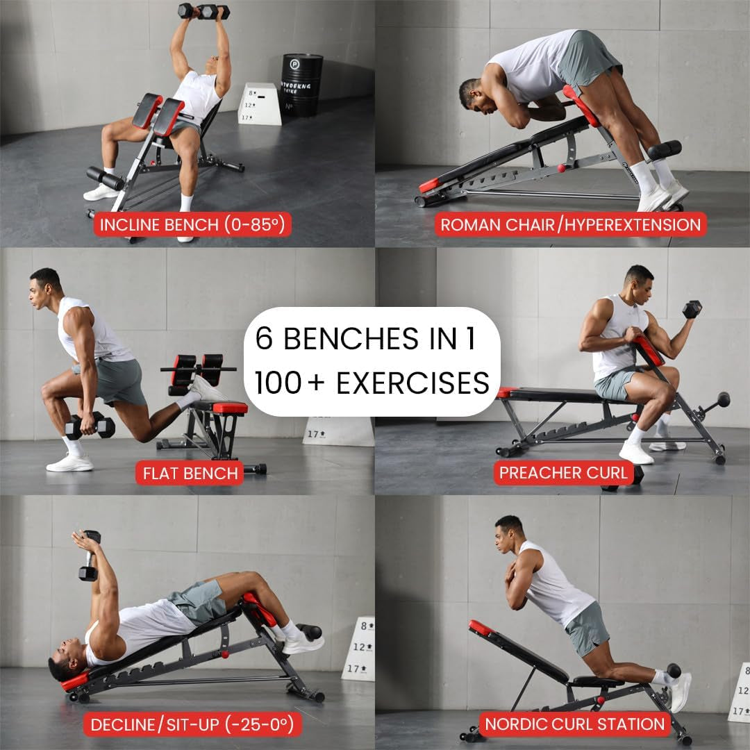 Finer Form Multi-Functional Adjustable FID Weight Bench and Roman Chair | 1,000 Lb Capacity, 23 Settings, Flat Incline Decline for Total Body Workouts, Transport Wheels, Exercise Chart Included
